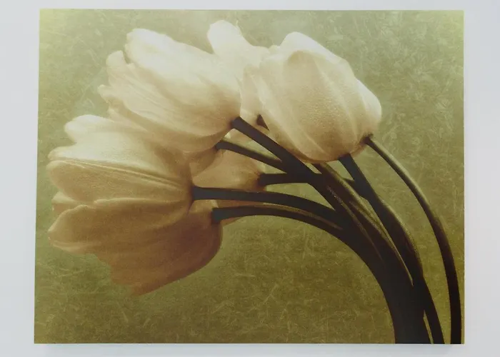 Basseynaya Apart Hotel Київ